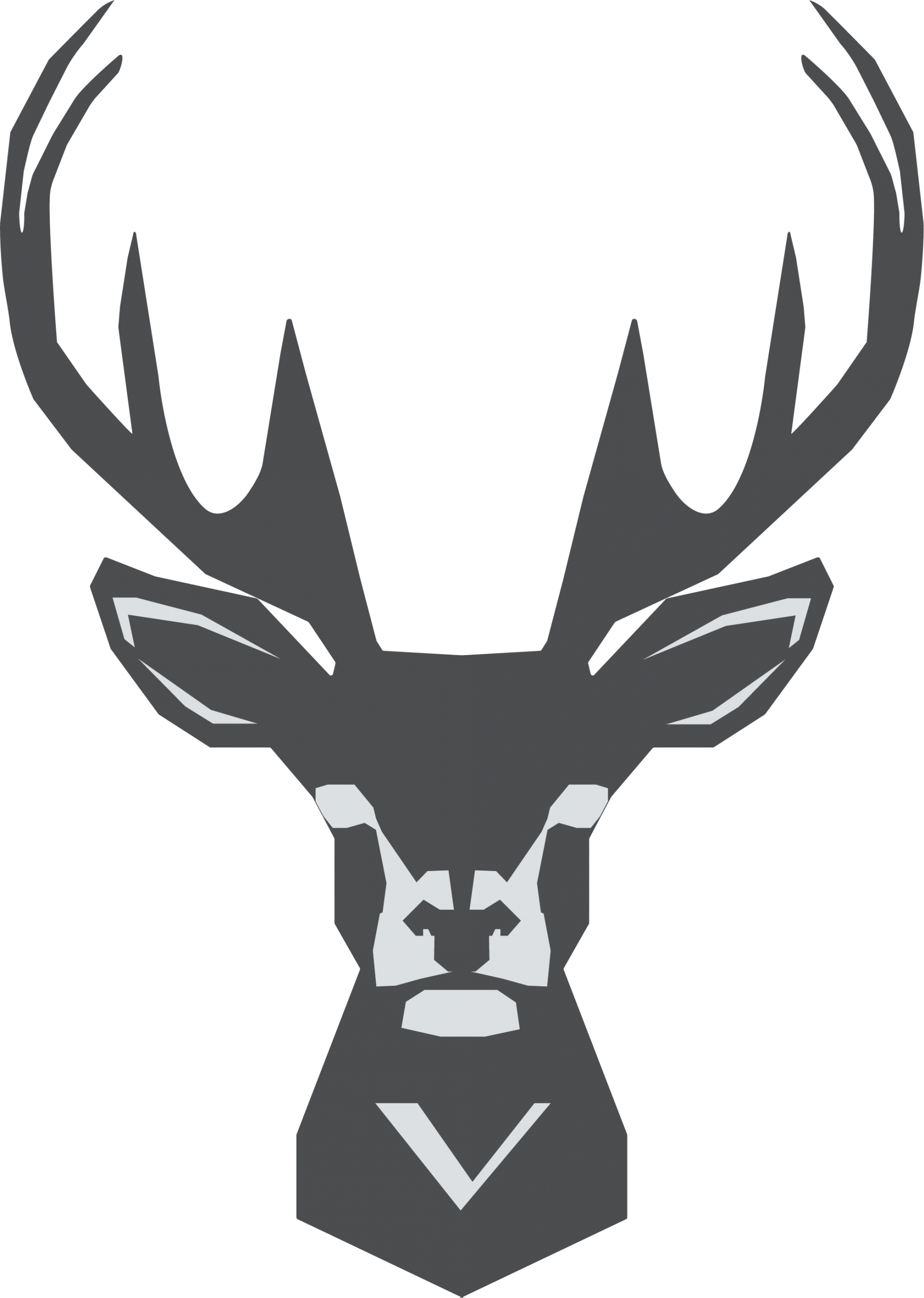 Vikela Protection Services